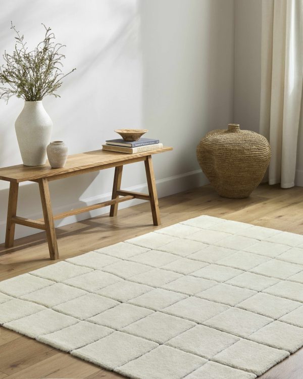 Caolan Washable Area Rug For Sale