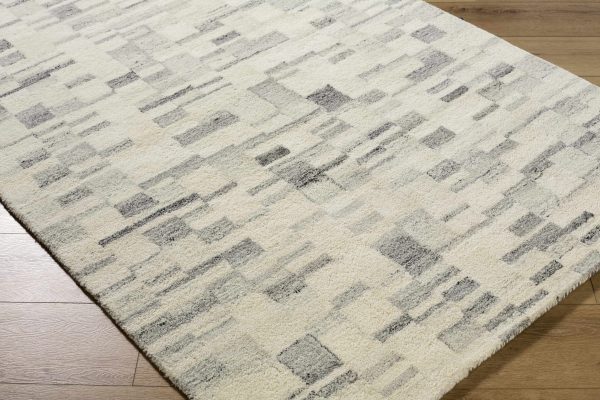 Cathal Broken Striped Area Rug For Cheap - Image 3